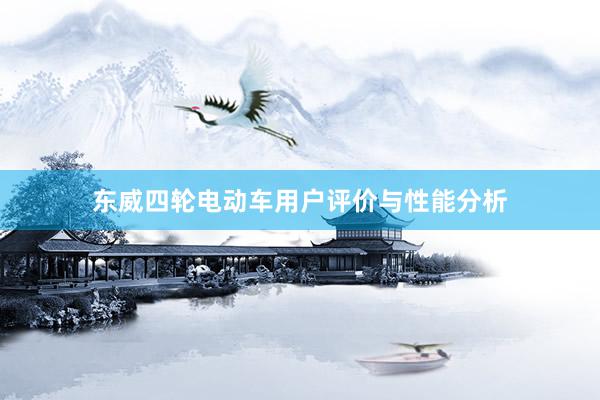 东威四轮电动车用户评价与性能分析