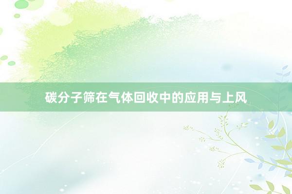 碳分子筛在气体回收中的应用与上风