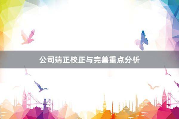 公司端正校正与完善重点分析