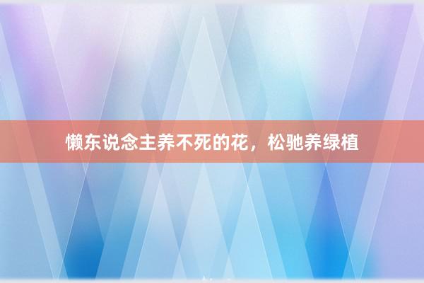 懒东说念主养不死的花，松驰养绿植